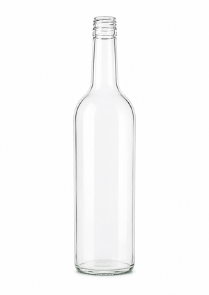 500ml Bergglas-Wasserflasche